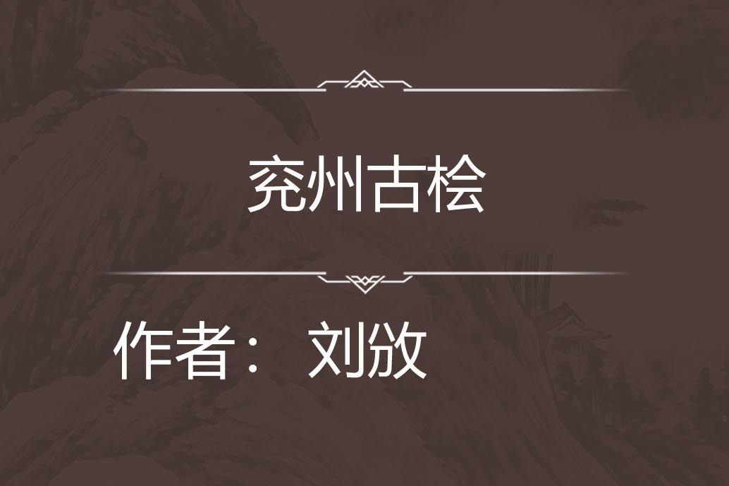 兗州古檜 兗州古檜