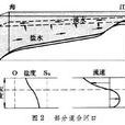 鹽水楔 鹽水楔