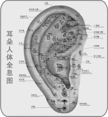 治耳病方 治耳病方