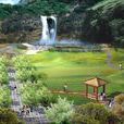 沉園 沉園