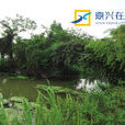胡家橋 胡家橋