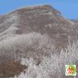 黑坨山 黑坨山