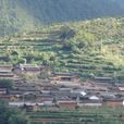中和村(雲南省楚雄永仁縣中和鎮中和村)