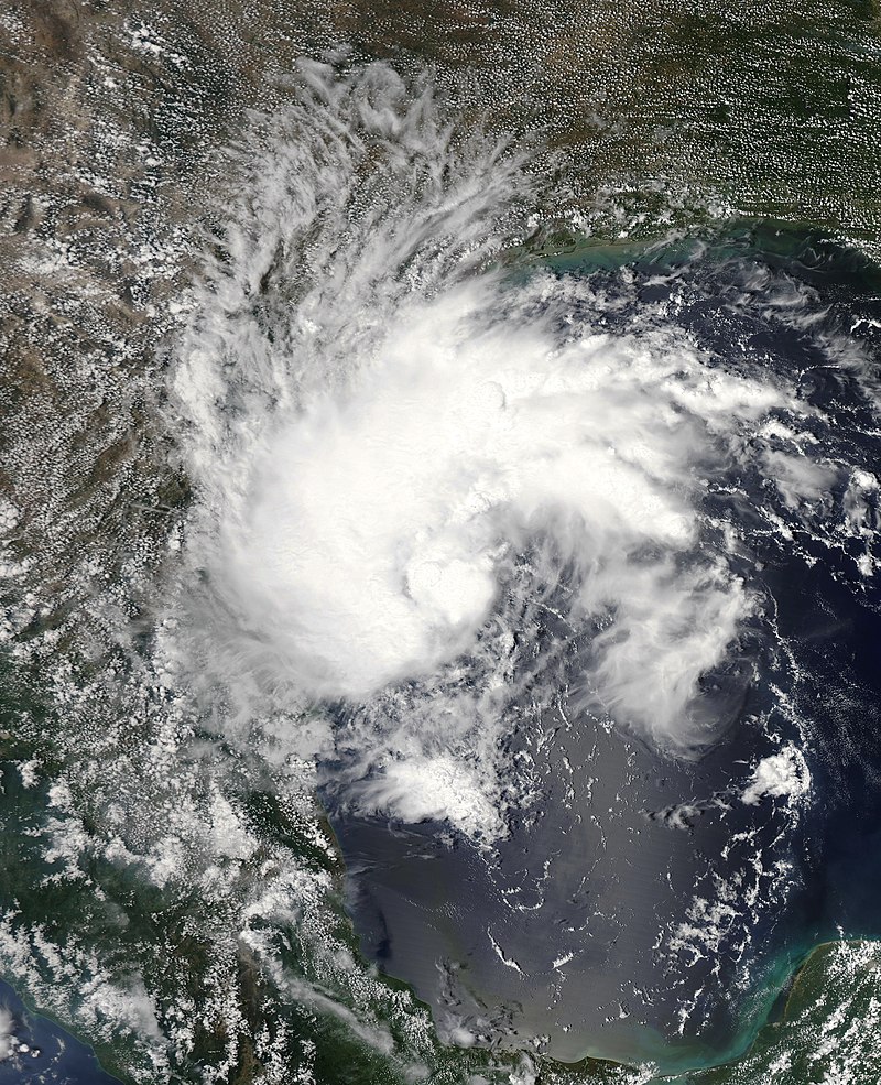熱帶風暴費爾南多 衛星雲圖
