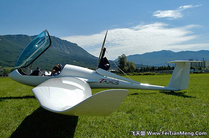 滑翔機(利用氣流飛行的航空器)