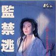 監禁逃亡 監禁逃亡
