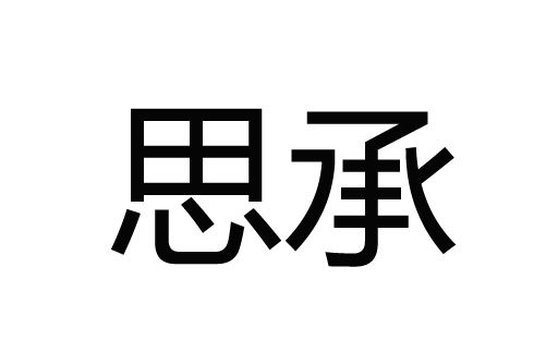 思承 SOCOVEZ 思承 SOCOVEZ