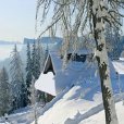 雪鹿逃生