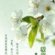 梨冢 梨冢