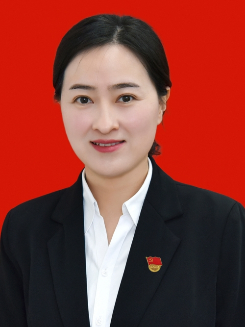 馬琳(浙江省義烏市總工會黨組成員、財貿工會主席) 馬琳(浙江省義烏市總工會黨組成員、財貿工會主席)