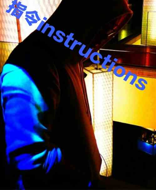 指令instructions 指令instructions