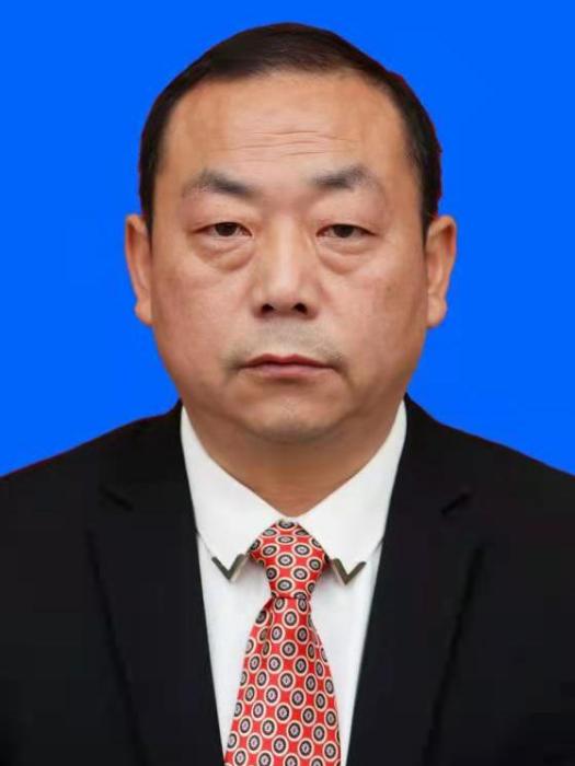 王柳(湖北省宜都市文化和旅遊局黨組副書記、副局長)