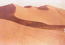 風沙土地區的流動沙丘