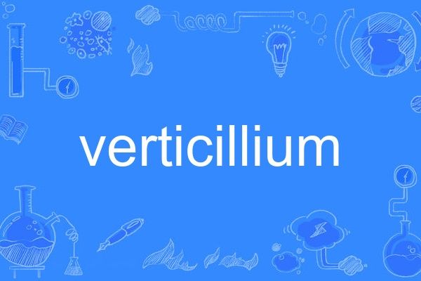 verticillium verticillium