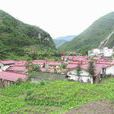 寨坪村(河南省洛陽市西工區紅山鄉下轄村) 寨坪村(河南省洛陽市西工區紅山鄉下轄村)