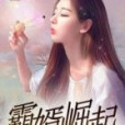 霸婿崛起(老施創作的都市類網路小說) 霸婿崛起(老施創作的都市類網路小說)