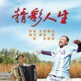 精彩人生(2010年吳衛東執導電影) 精彩人生(2010年吳衛東執導電影)