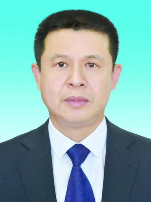陳岩(黑龍江省綏化市政協副主席) 陳岩(黑龍江省綏化市政協副主席)