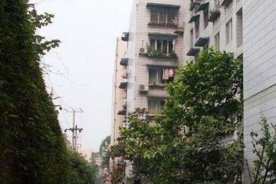 宏城公寓 宏城公寓
