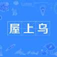屋上烏 屋上烏