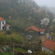 黃坭鄉 黃坭鄉