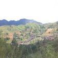 太山崎 太山崎