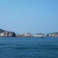 大長山島 大長山島