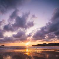 陸堯