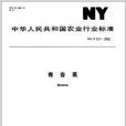 青香蕉 青香蕉