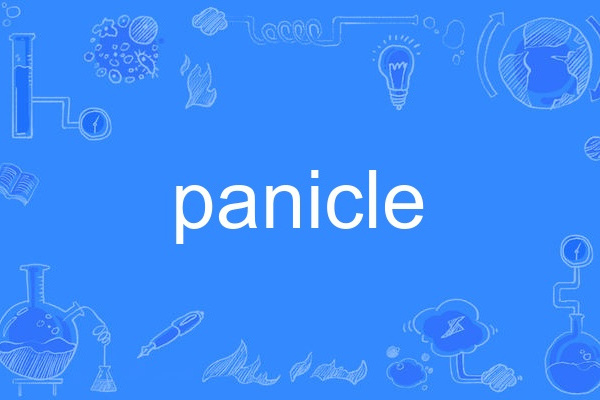 panicle panicle