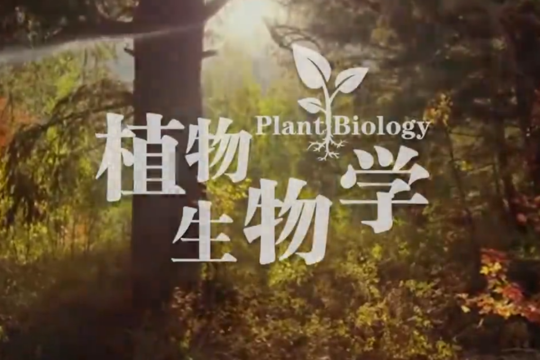植物生物學(江西師範大學建設的慕課) 植物生物學(江西師範大學建設的慕課)