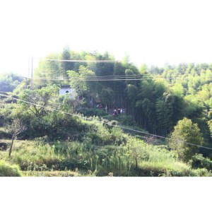 通靈古道 通靈古道
