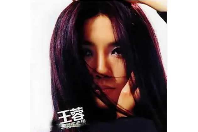 獵人(王蓉《非想非非想》專輯中的歌曲) 獵人(王蓉《非想非非想》專輯中的歌曲)