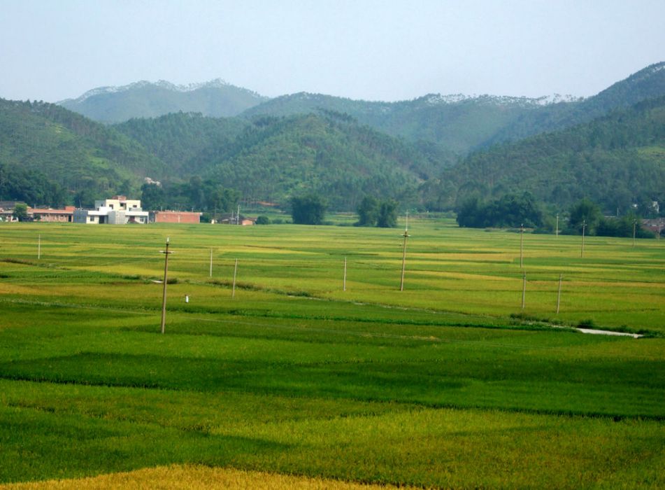 大廉山 大廉山