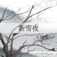 新雪夜 新雪夜