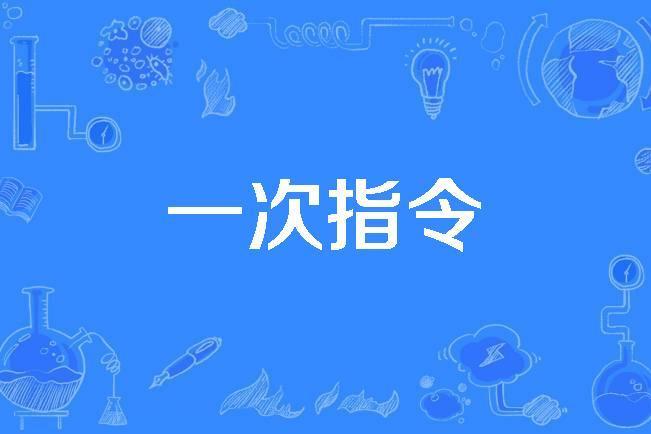 一次指令 一次指令