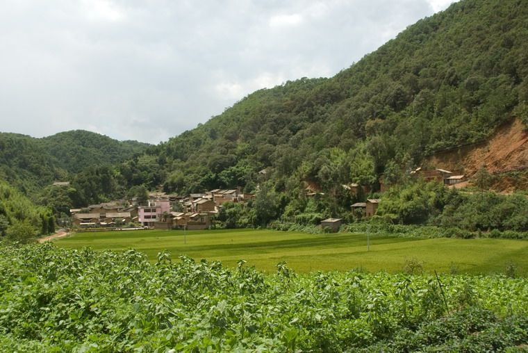 蘆潭村 蘆潭村