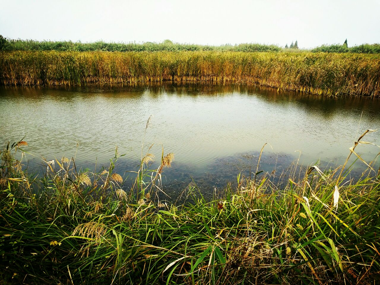 泗洪濕地保護區