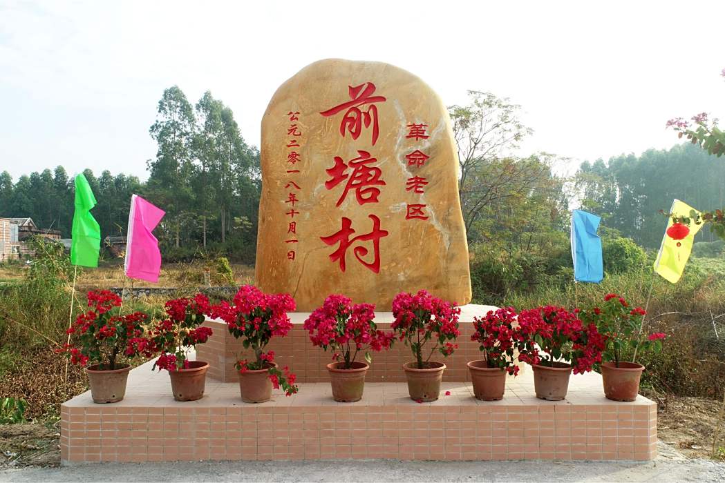 前塘村(廣東省廉江市石嶺鎮三腳墩村委會下轄自然村) 前塘村(廣東省廉江市石嶺鎮三腳墩村委會下轄自然村)
