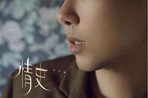 情史(孫子涵2021年演唱的歌曲) 情史(孫子涵2021年演唱的歌曲)