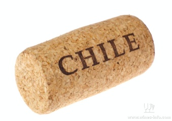 智利紅蔓莊園