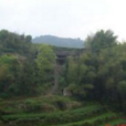 柴嶺村 柴嶺村