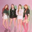 BLACKPINK(韓國女子演唱組合) BLACKPINK(韓國女子演唱組合)
