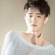 葉子誠(中國內地影視男演員) 葉子誠(中國內地影視男演員)