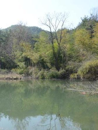 雲溪村(江西省資溪縣石峽鄉下轄行政村) 雲溪村(江西省資溪縣石峽鄉下轄行政村)