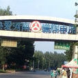 240國道 240國道