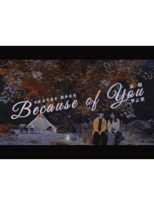 Because of You(羅雲熙演唱的歌曲、電視劇《良言寫意》插曲) Because of You(羅雲熙演唱的歌曲、電視劇《良言寫意》插曲)