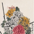 菊花草蟲 菊花草蟲