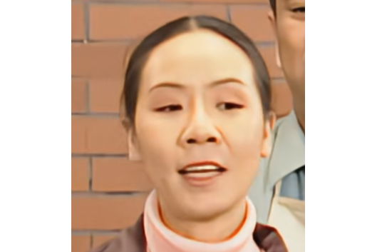蘭蘭(《炊事班的故事》中的角色) 蘭蘭(《炊事班的故事》中的角色)
