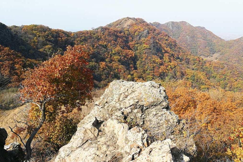 大線溝山 大線溝山